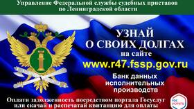 Что происходит с сайтом ФССП сегодня в Tom Tailor