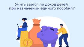 Что считается официальным доходом в Tom Tailor