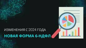 Форма 6-НДФЛ: что содержит в Tom Tailor
