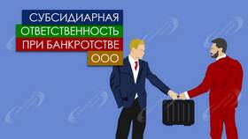 Как избежать субсидиарной ответственности директора ООО в Tom Tailor
