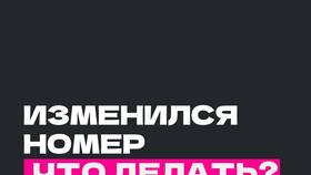 Как изменить телефон в Госуслугах онлайн в Tom Tailor