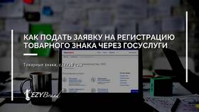 Как оформить ЭПТС через Госуслуги в Tom Tailor
