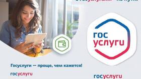 Как получить компенсацию за детский сад через Госуслуги в Tom Tailor
