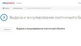 Как получить охотничий билет через Госуслуги в Tom Tailor