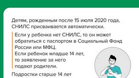 Как правильно называется СНИЛС в Tom Tailor