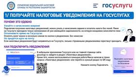 Как правильно подготовить уведомление в Tom Tailor