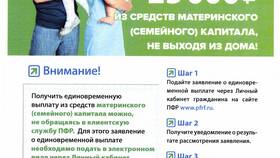 Как правильно составить заявление в Пенсионный фонд в Tom Tailor