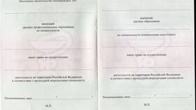 Как выглядит выписка об аккредитации в Tom Tailor