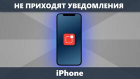Не приходят уведомления на iPhone: что делать в Tom Tailor