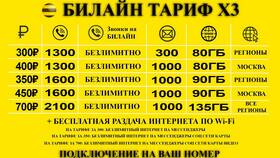 Новогодний тариф от Билайн: условия и особенности в Tom Tailor