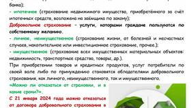 Почему Lamoda убрала оплату долями в Tom Tailor