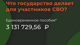 Почему производятся страховые выплаты: основания и условия в Tom Tailor