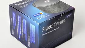 Подписка на Алису: что это такое в Tom Tailor