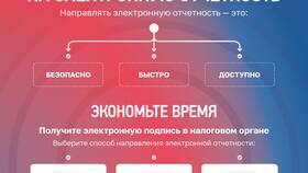 Прогноз налогов: что включают страховые взносы в Tom Tailor