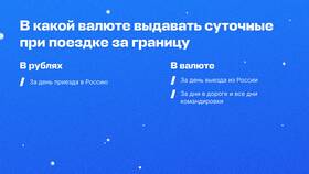Суточные расходы в командировке: что входит в Tom Tailor