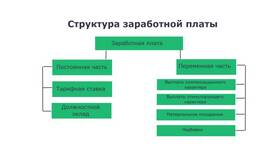 В чем заключается сущность заработной платы в Tom Tailor